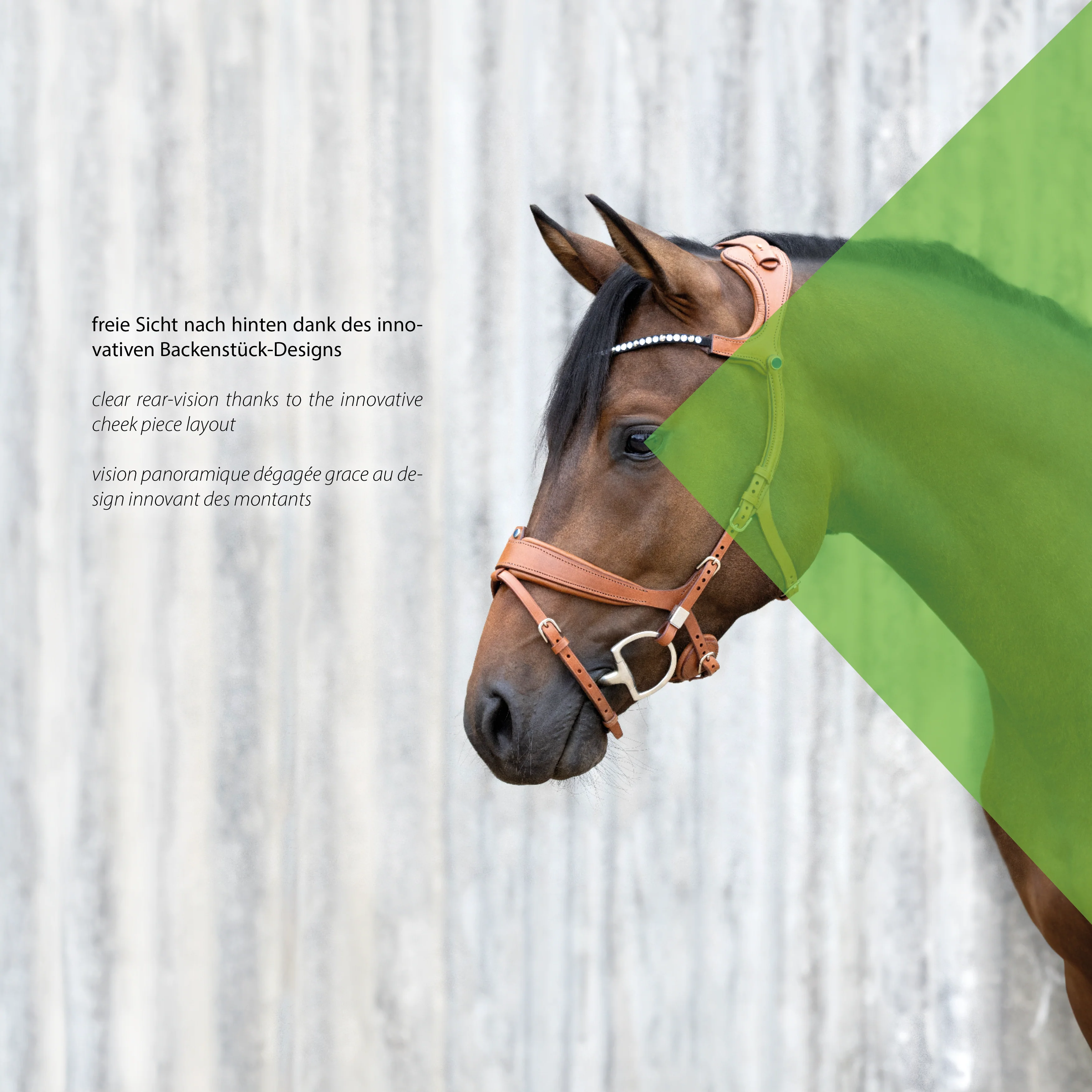 Freedom II Slide&Lock with crystal browband - Image 4