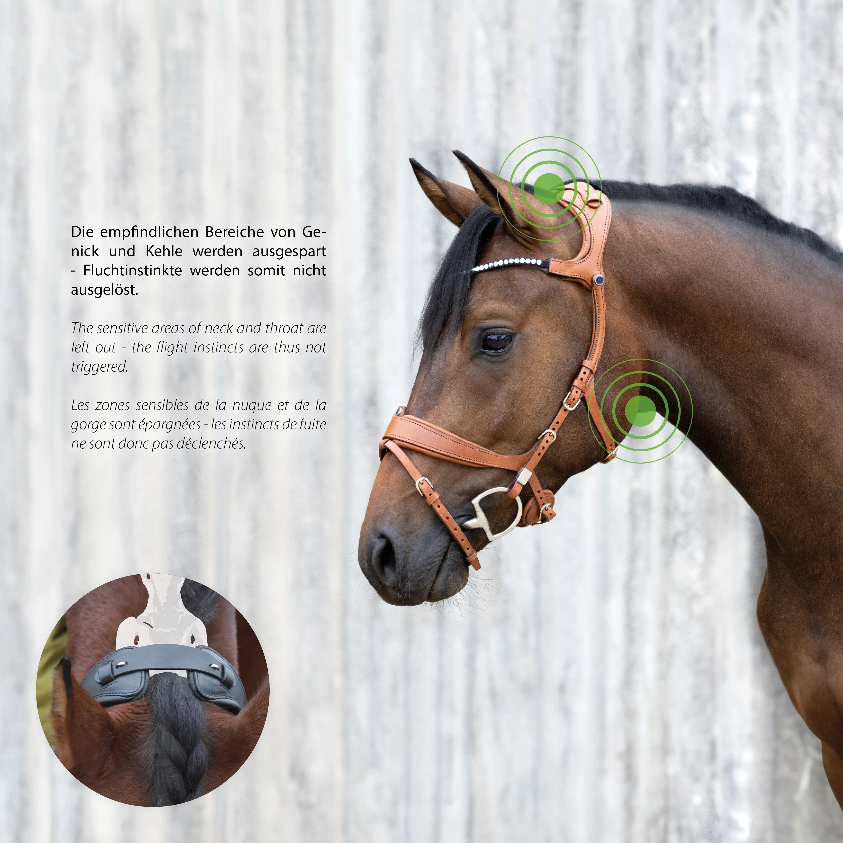 Freedom II Slide&Lock with crystal browband - Image 5