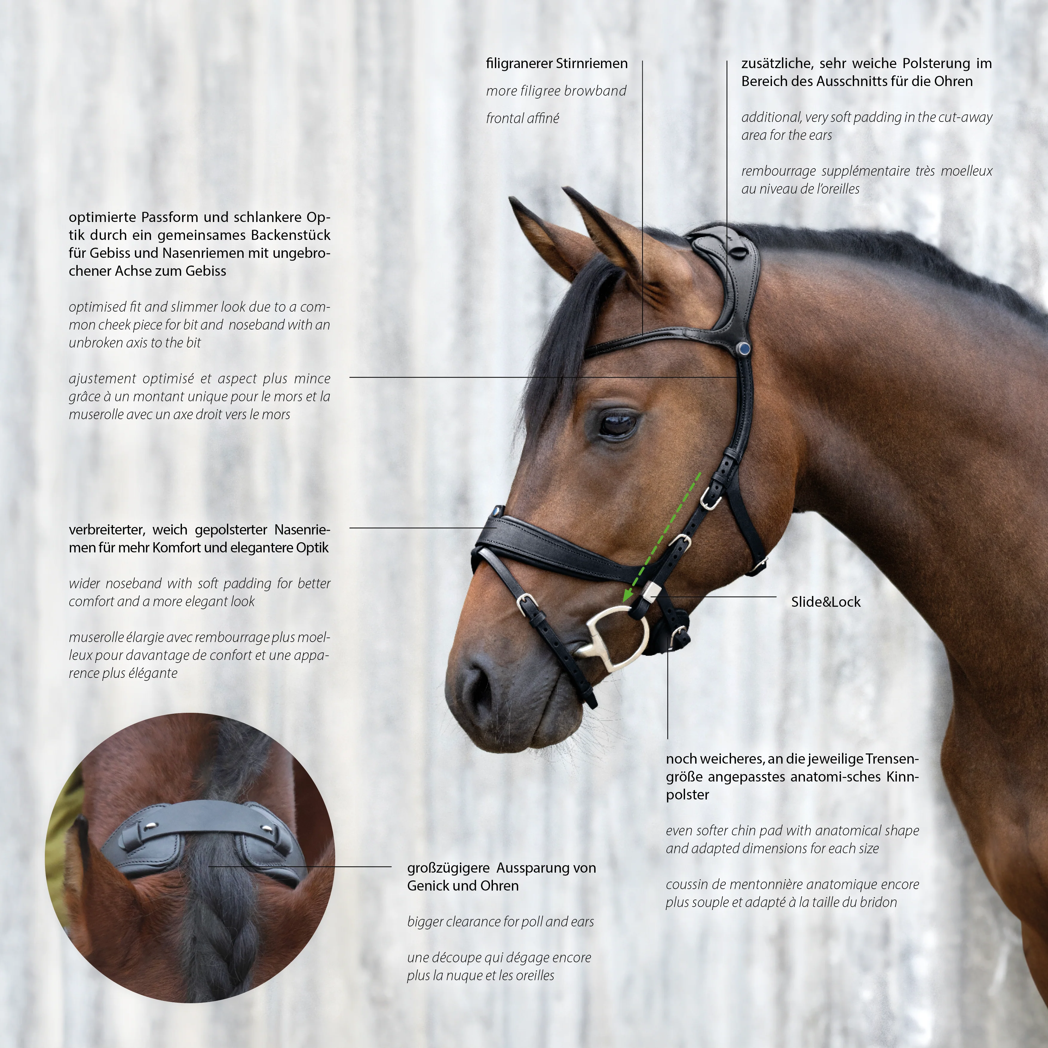 Freedom II Slide&Lock with crystal browband - Image 6