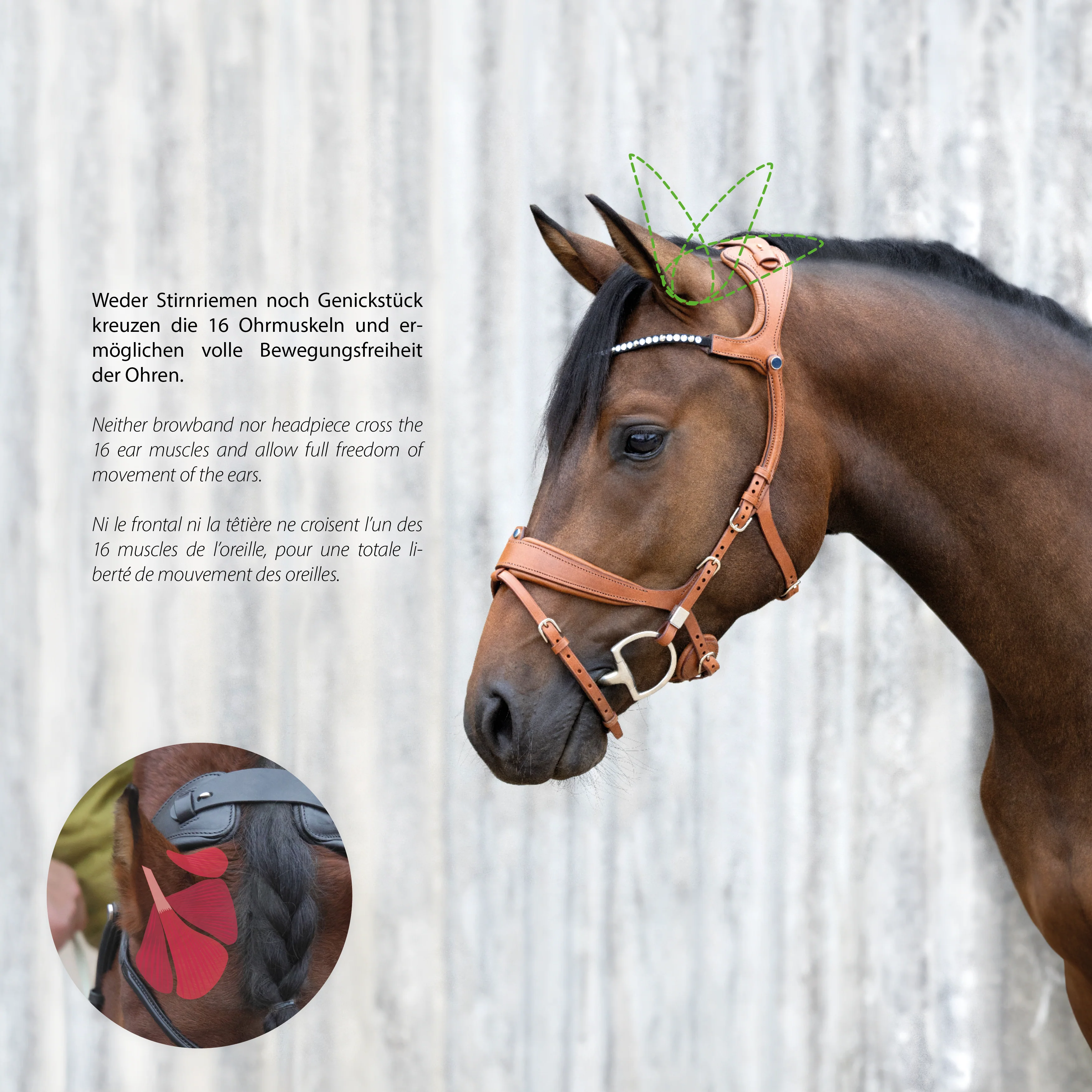 Freedom II Slide&Lock with crystal browband - Image 7