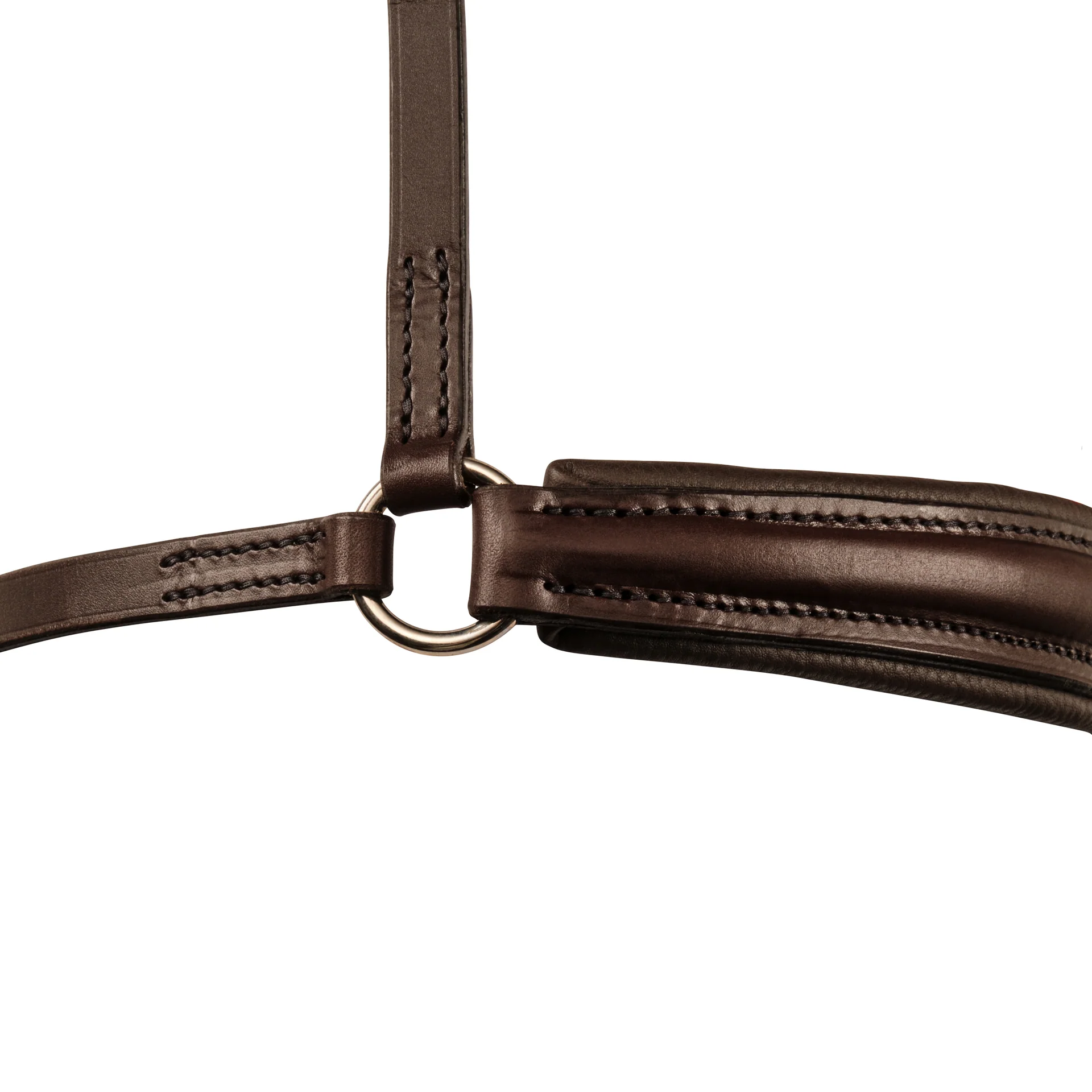 Hanoverian noseband - Image 4