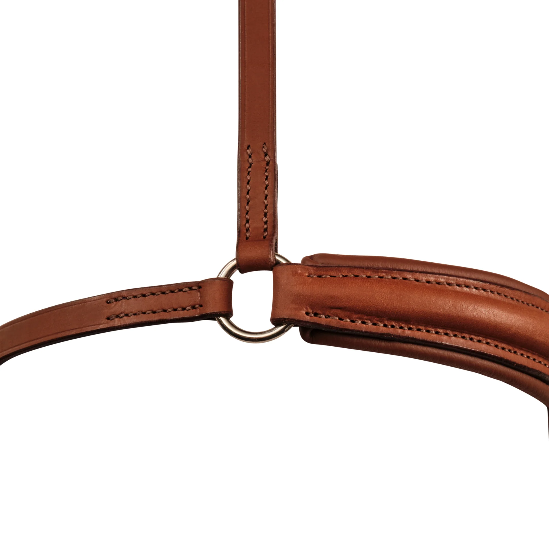 Hanoverian noseband - Image 5