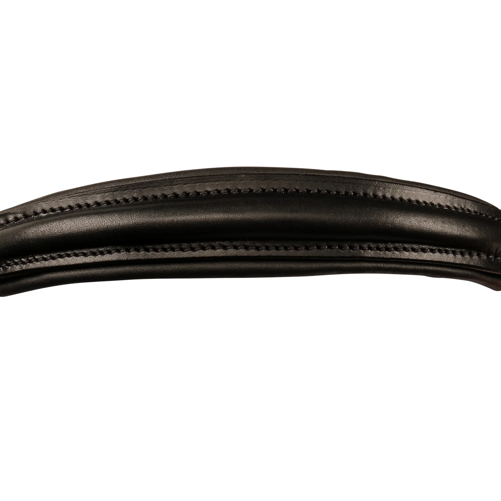Hanoverian noseband - Image 7
