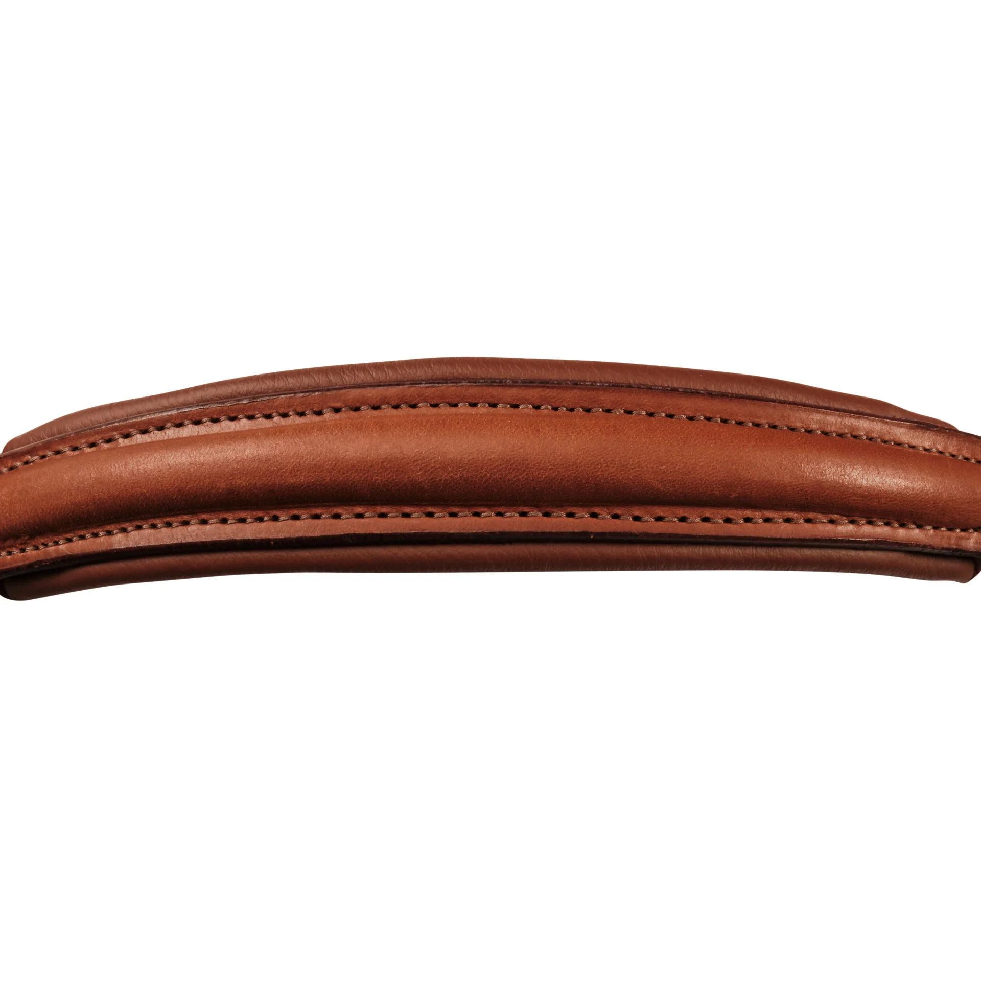 Hanoverian noseband - Image 8