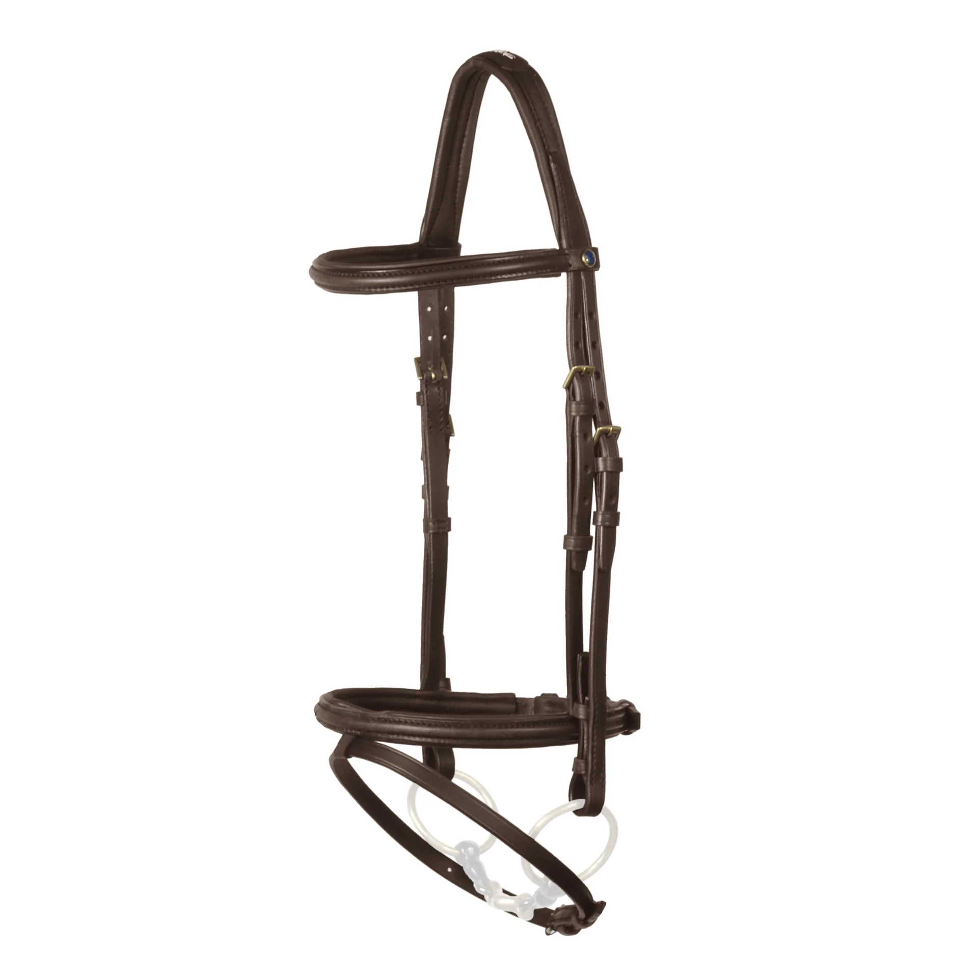 Bridle Iceland - Image 4