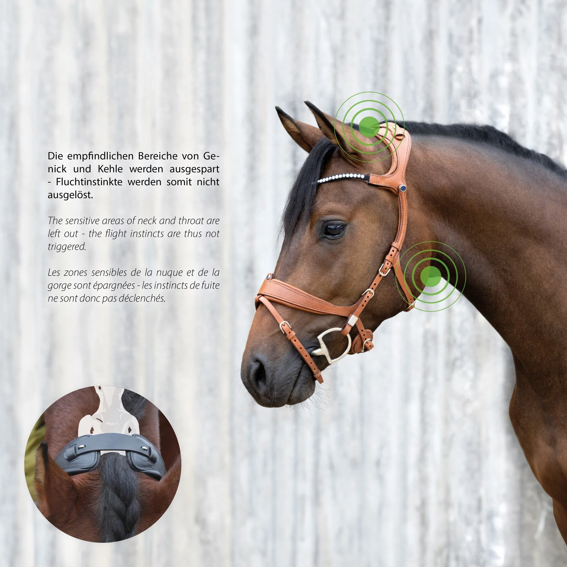 Bridle Freedom II Slide&Lock - Image 6