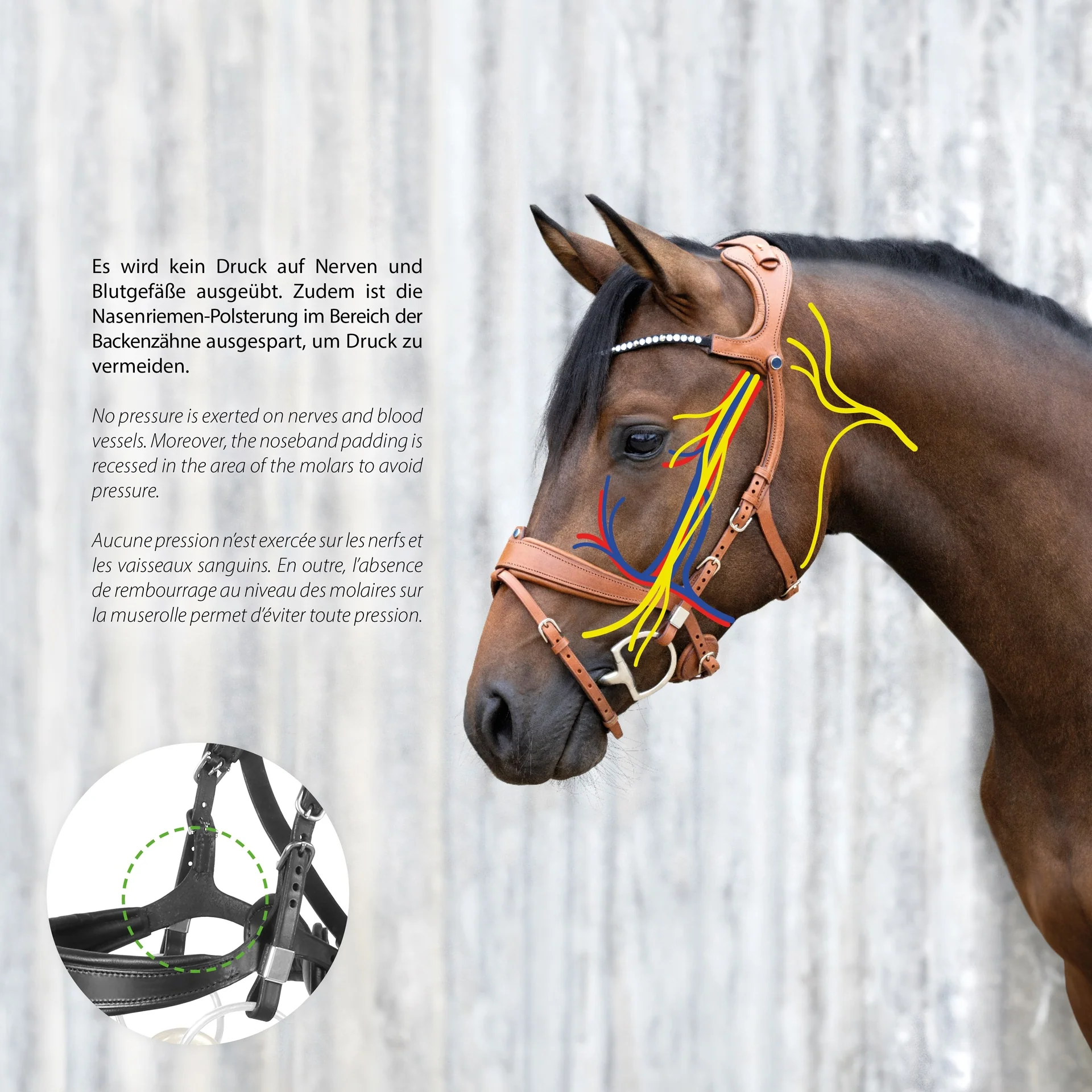 Bridle Freedom II Slide&Lock - Image 8